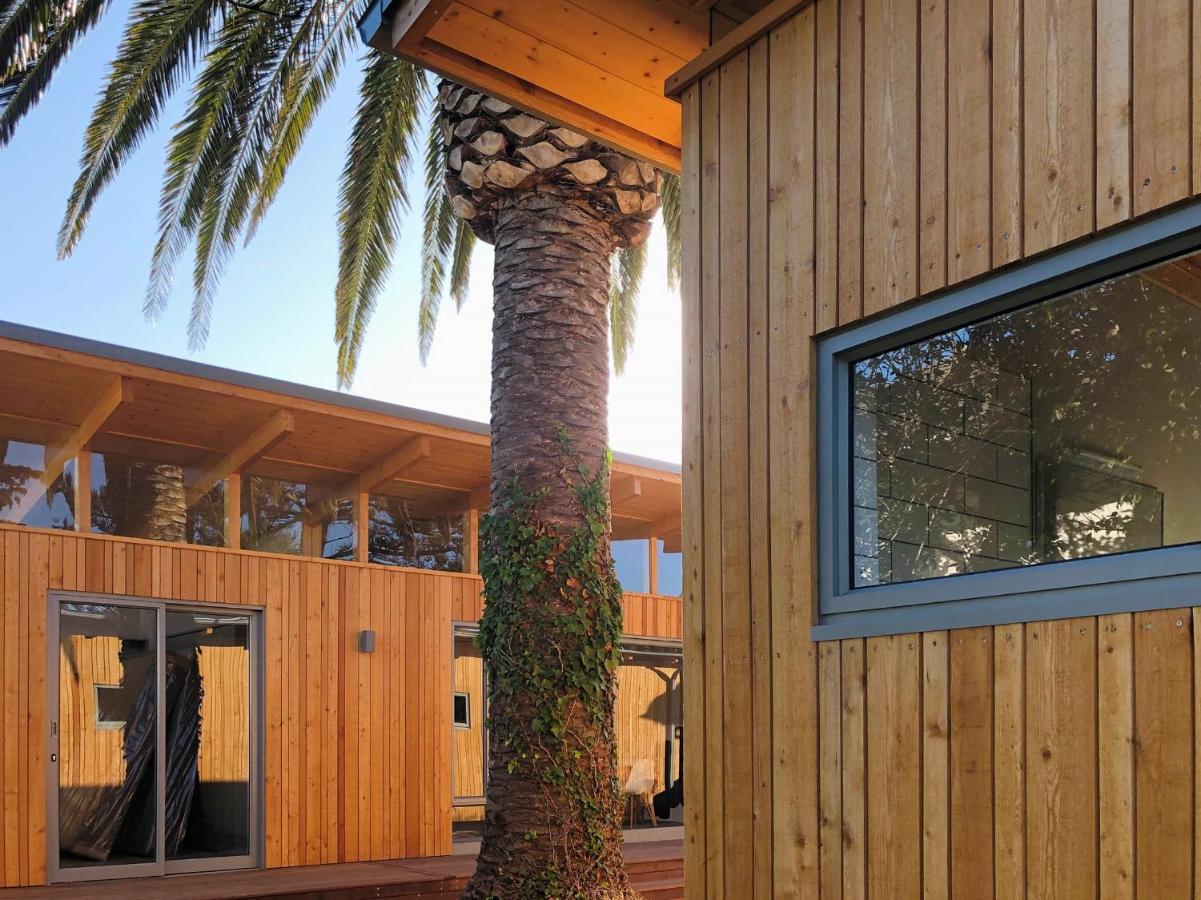 Palm&Pine Cottage Città del Capo Esterno foto